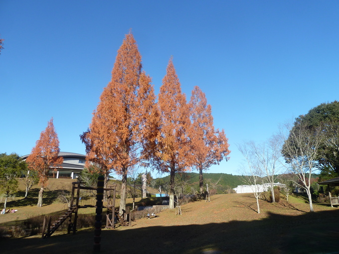 b0247739_8325324.jpg