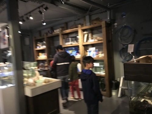 f0335539_10151635.jpg