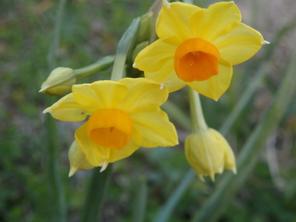a0054240_20333943.jpg
