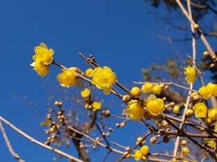 b0080342_08353733.jpg