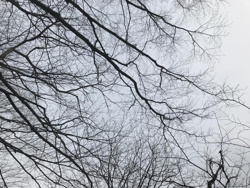 b0367250_00234430.jpg