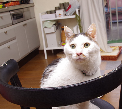 食欲_a0028451_12515717.jpg