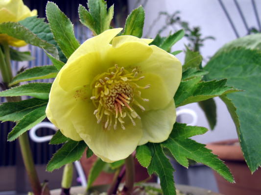 c0147952_20224918.jpg