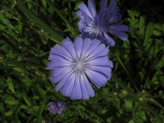 e0190756_13401210.jpg