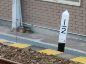 a0057057_22512749.png