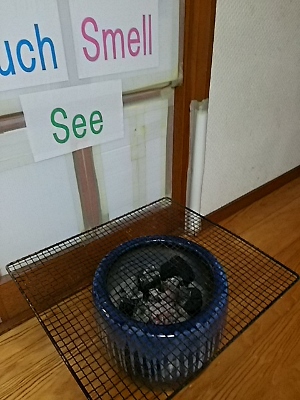 f0044557_2283772.jpg