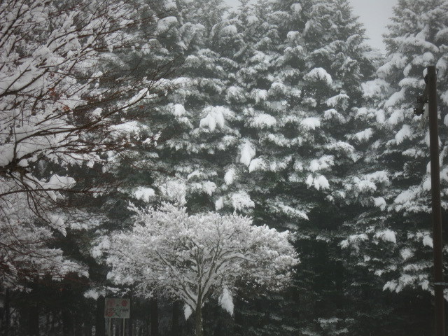 f0236260_01422982.jpg