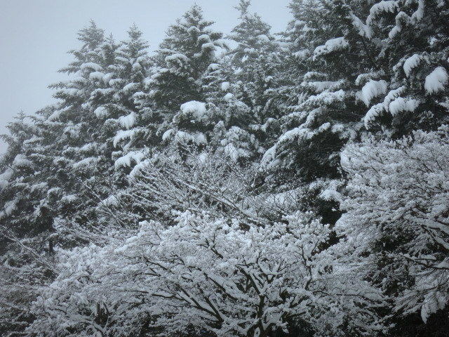 f0236260_01424730.jpg