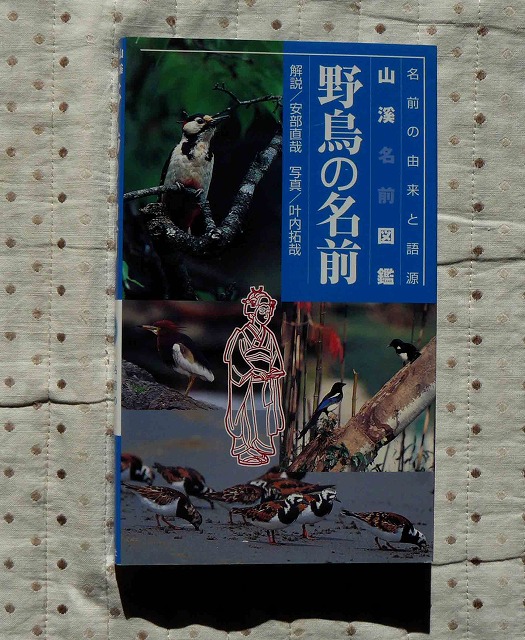 d0019074_842185.jpg