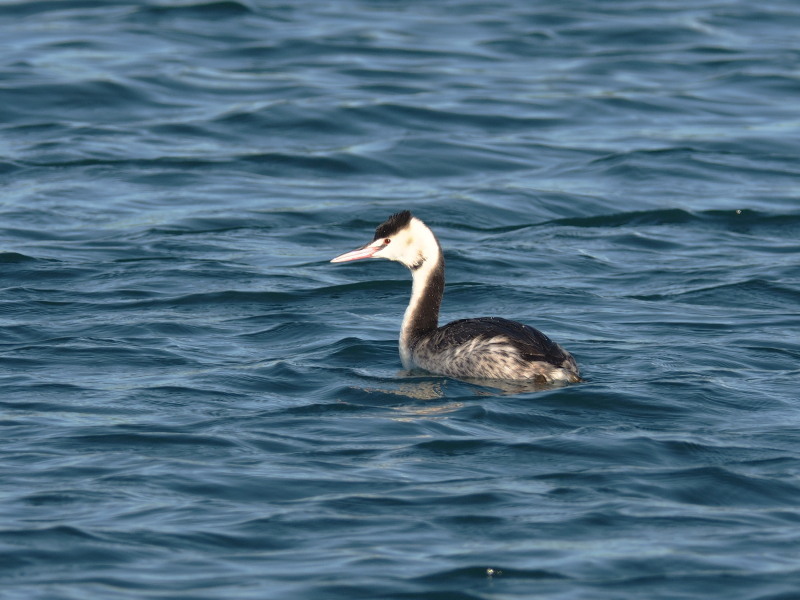 f0372177_22201358.jpg
