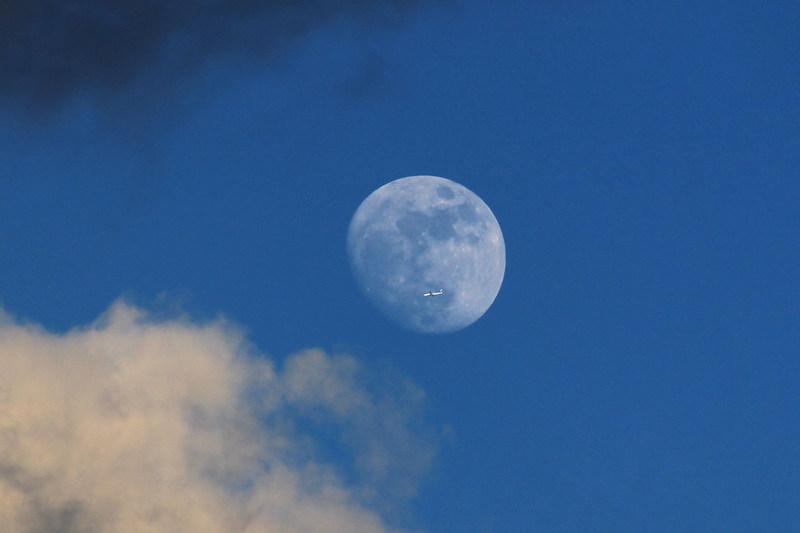b0093678_20115534.jpg