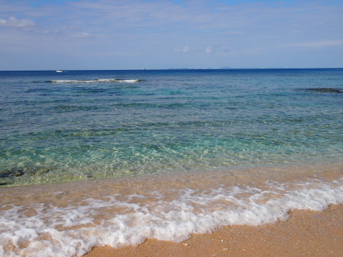 c0058978_20400942.jpg