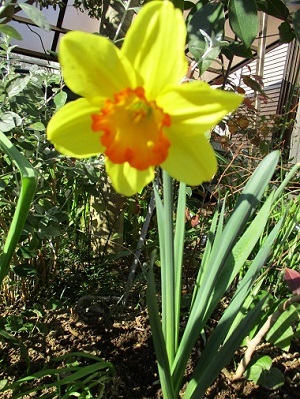 a0053480_08404573.jpg