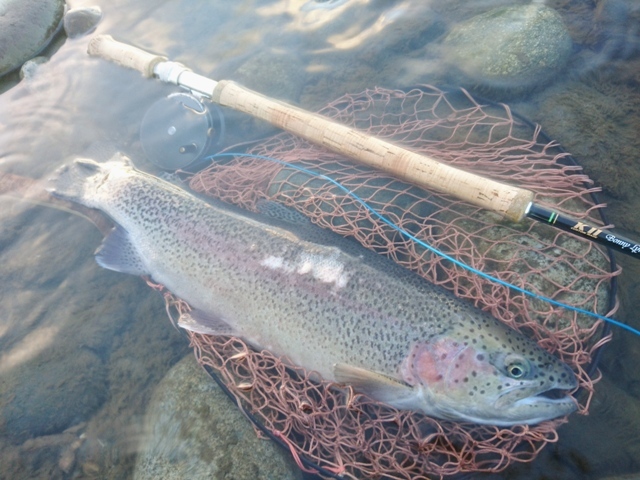 c0157482_12204114.jpg