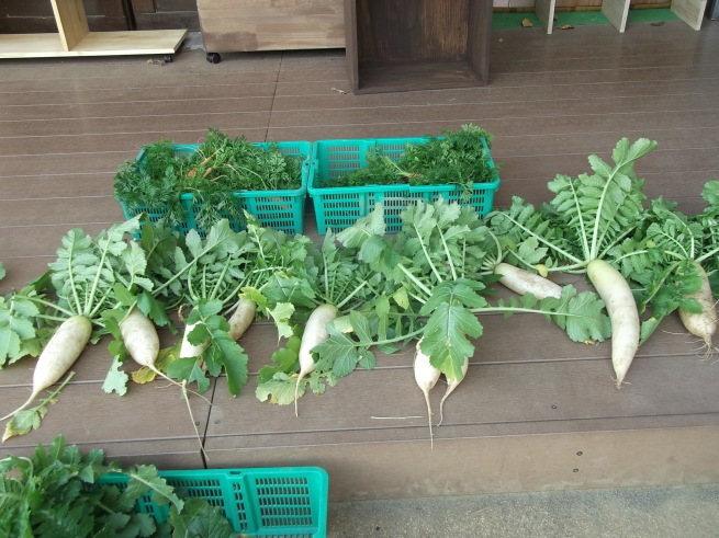 あったか野菜汁_f0334882_10314081.jpg