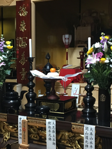 初詣り 1月16日 円成しました。_a0274383_21322510.jpg