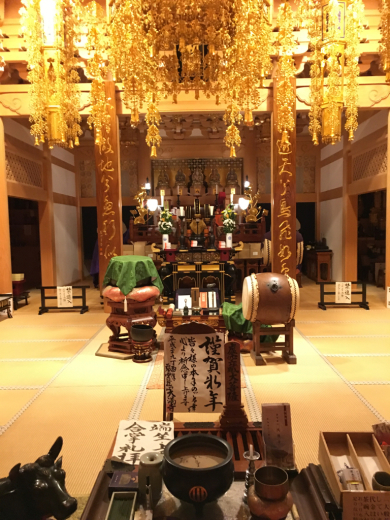 初詣り 1月16日 円成しました。_a0274383_21322551.jpg