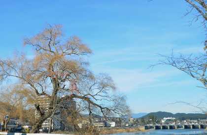 琵琶湖　湖西の風景_c0229483_853716.jpg