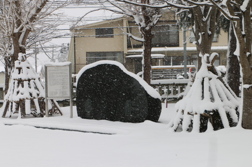 昼下がりの米沢キャンパス　１月１１日（小寒・次候）　水泉温かを含む（しみず　あたたかを　ふくむ）_c0075701_14152157.jpg