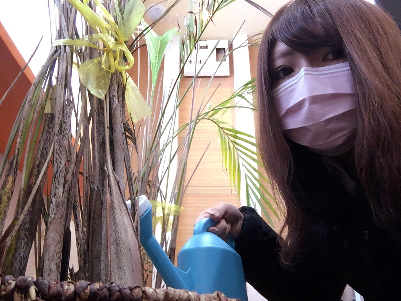 1月11日 水曜日のひとログ(*´ω`*) ランクル・ハマー構造変更もお任せ下さい♫TOMMY_b0127002_1732157.jpg