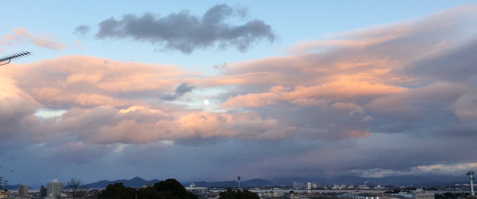 b0220002_20421888.png