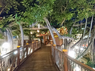2017年も、しっかり撮りだめです!_d0091909_1534245.jpg