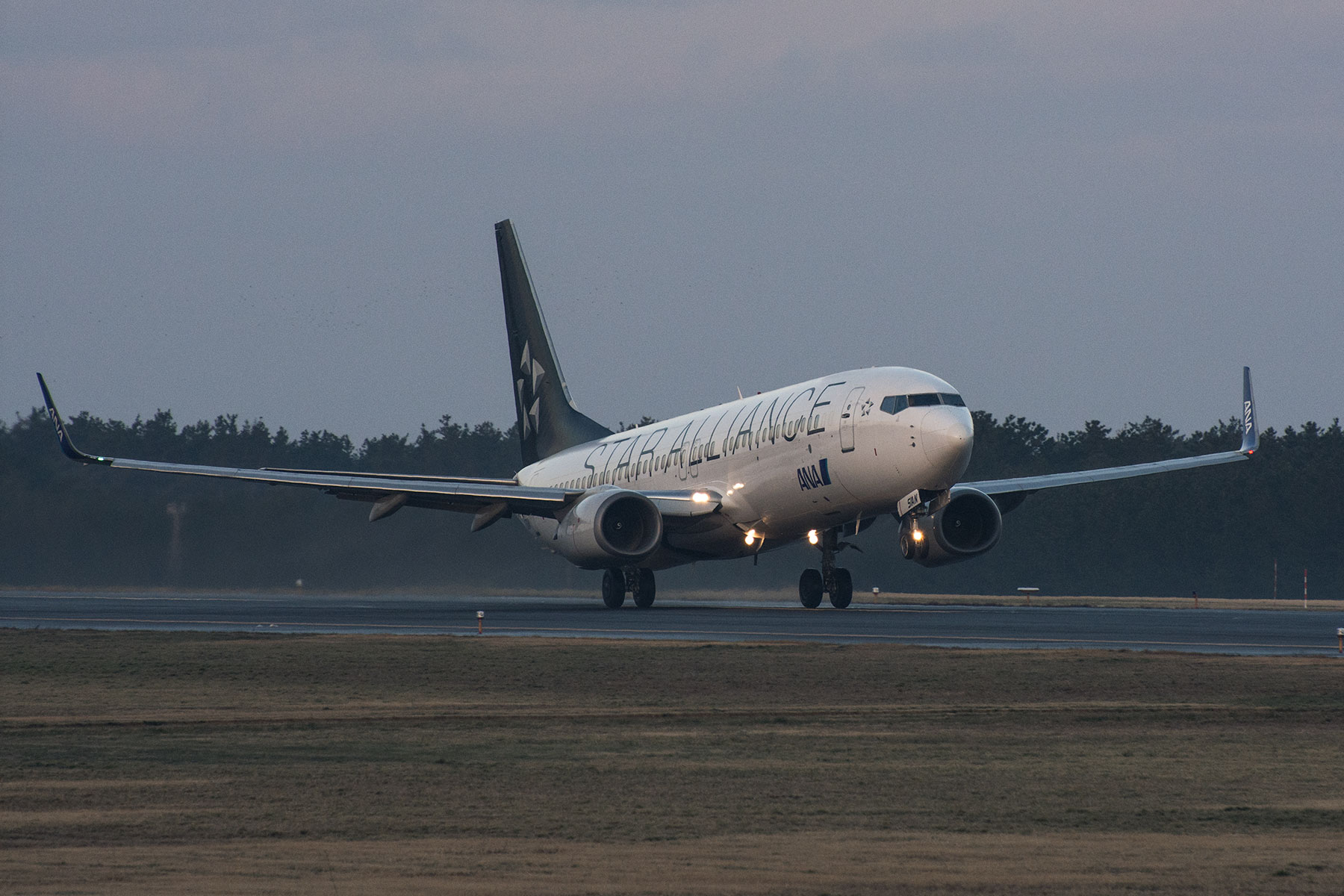 全日空商事 737-800 STAR ALLIANCE JA51AN 美品】ANA B737-800 JA51AN 1/200 全日空商事 スタアラ - メルカリ