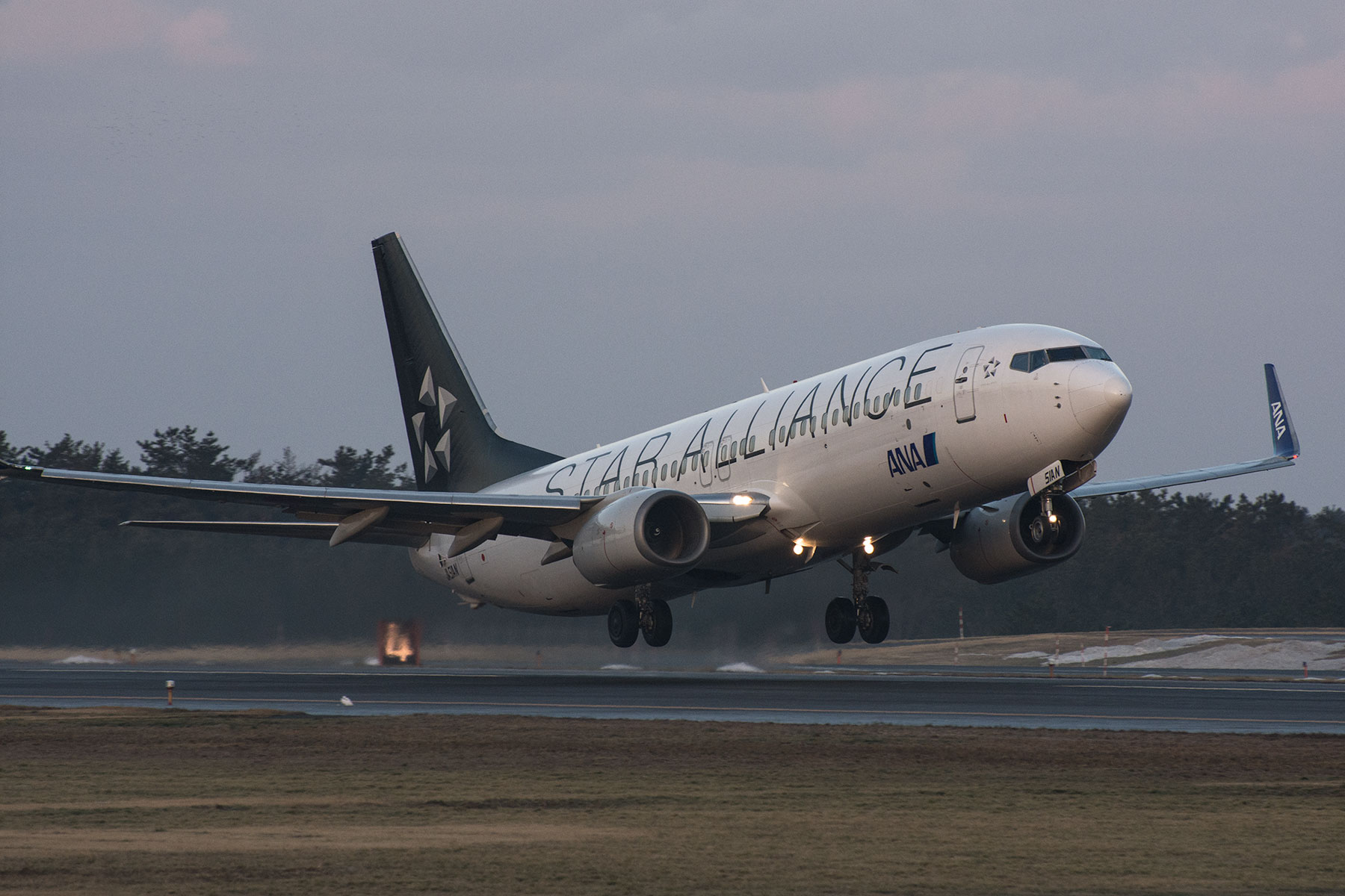 BOEING 737-800 / JA51AN - Star Alliance - : SKY LOUNGE