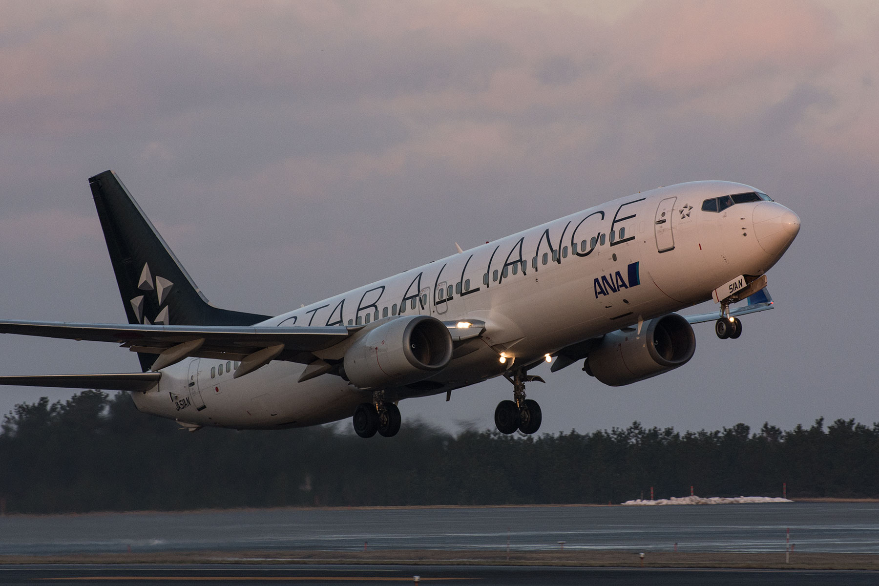 BOEING 737-800 / JA51AN - Star Alliance - : SKY LOUNGE GARDEN 
