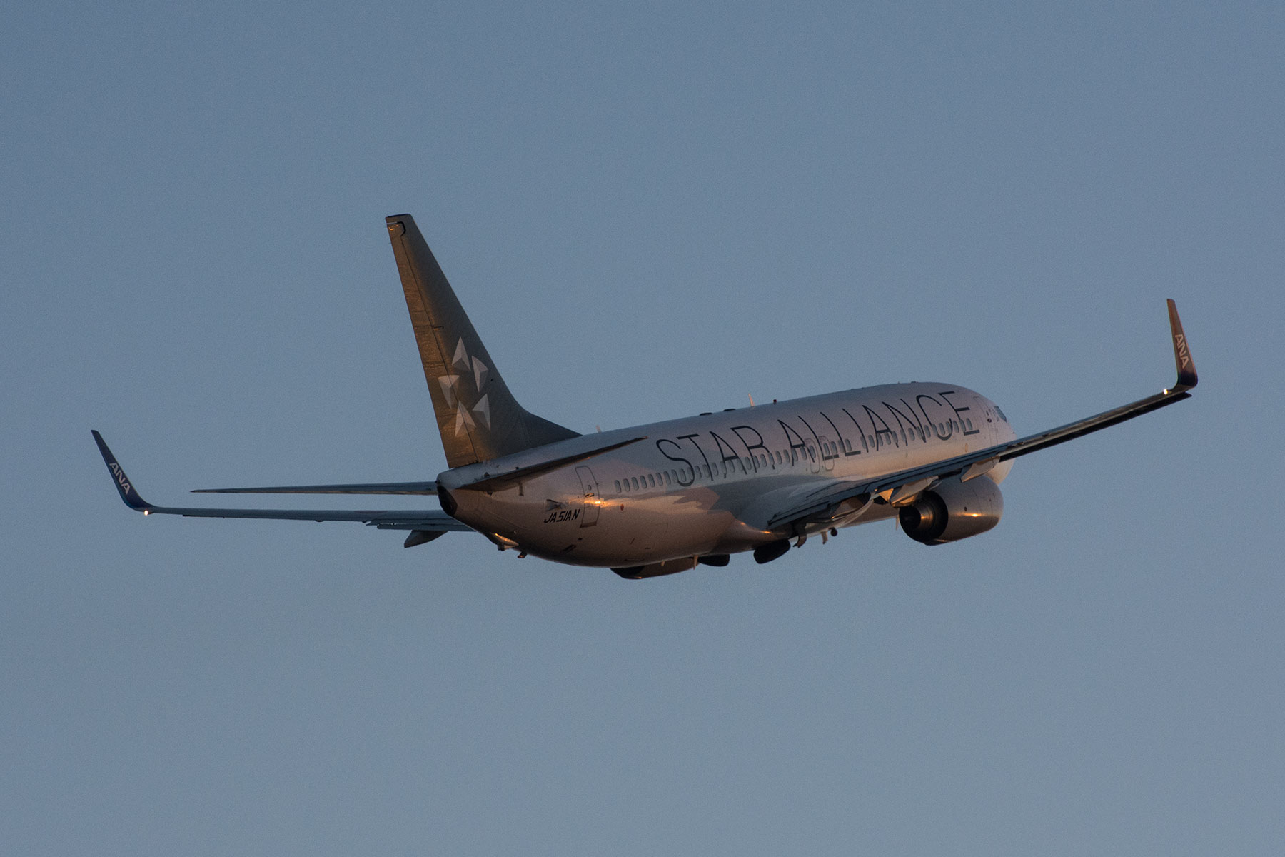 BOEING 737-800 / JA51AN - Star Alliance - : SKY LOUNGE