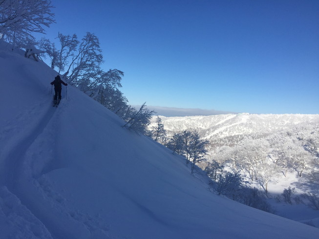 2017年1月 『いく年、くる年、今年もディープ!』 January 2017 \"Hello 2017 Deep Powder! Goodby 2016\"_c0219616_2203596.jpg