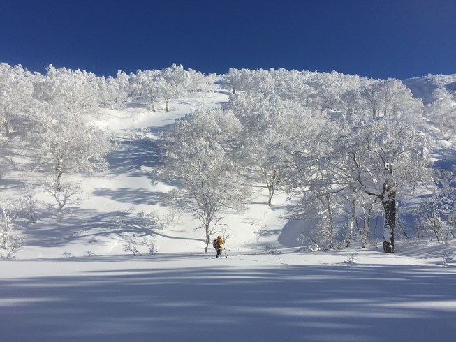 2017年1月 『いく年、くる年、今年もディープ!』 January 2017 \"Hello 2017 Deep Powder! Goodby 2016\"_c0219616_2213222.jpg