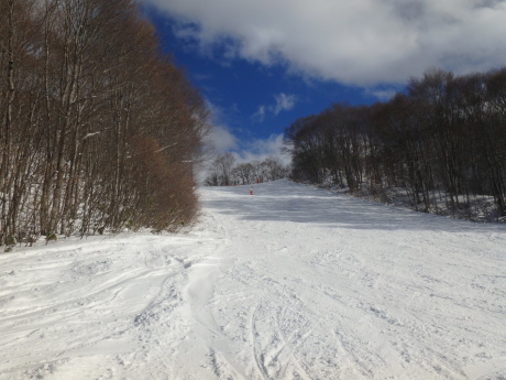 f0362524_17331115.jpg