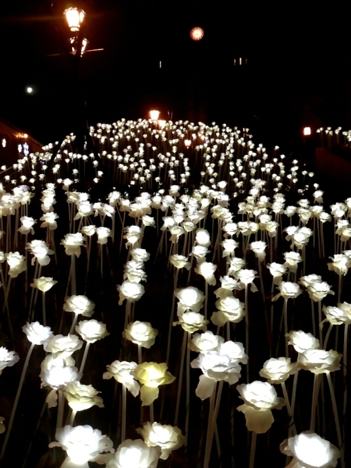 雨に濡れる夜の明洞聖堂も素敵でした 札幌で白磁に簡単絵付け Ky S Gallery ポーセラーツ 日記 雨に濡れる夜の明洞聖堂も素敵でした 札幌で白磁に簡単絵付け Ky S Gallery ポーセラーツ 日記