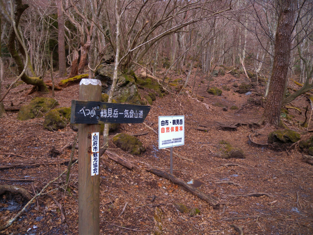 干支の山・鶴見岳は霧氷だった！_e0272335_1736338.jpg