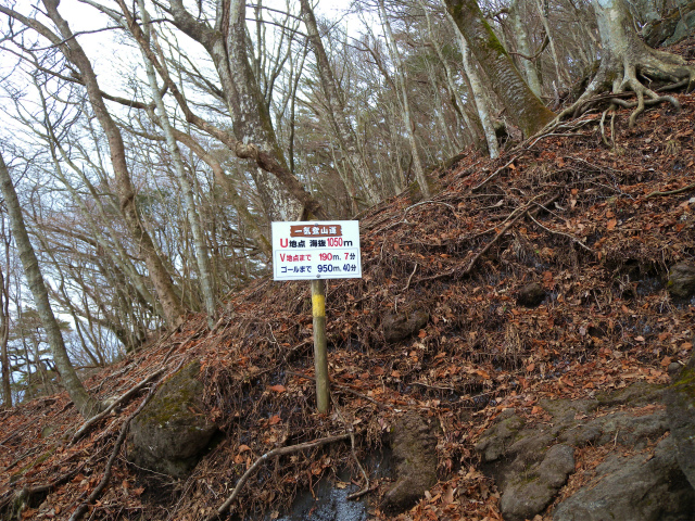 干支の山・鶴見岳は霧氷だった！_e0272335_17381478.jpg