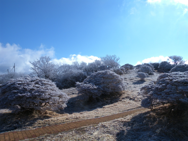 干支の山・鶴見岳は霧氷だった！_e0272335_17563223.jpg