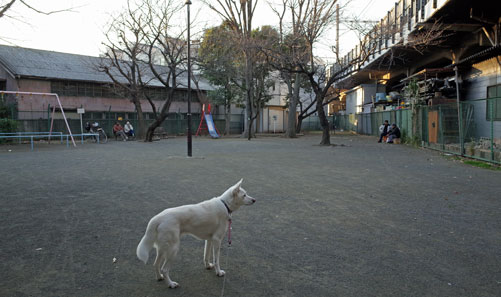 a0117039_231258.jpg