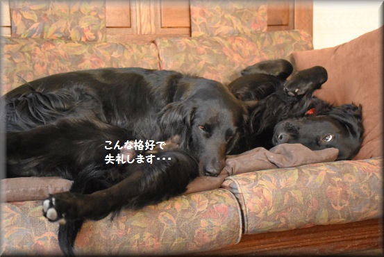 ぎゅーぎゅーです・・・_f0363141_8531978.jpg