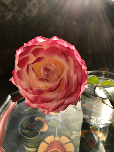 d0084750_16062626.jpg