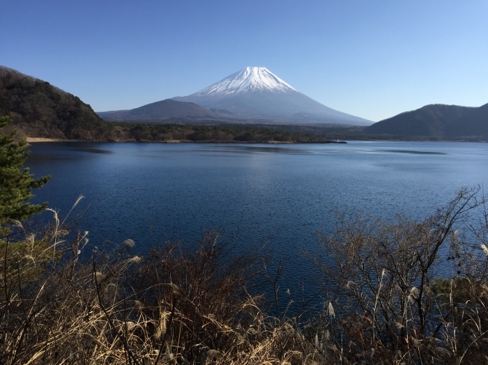 b0070657_15352916.jpg
