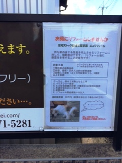 看板猫_d0251858_11264086.jpg
