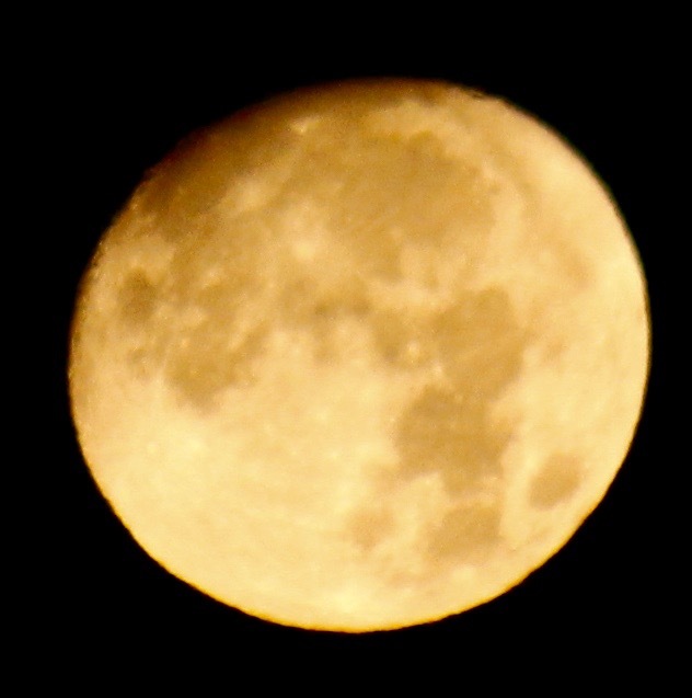 a0248459_15525038.jpg