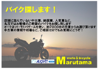 b0339060_17145666.png
