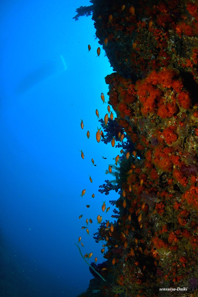 e0158261_8221198.jpg