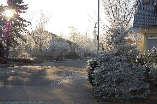 f0097363_2036566.jpg