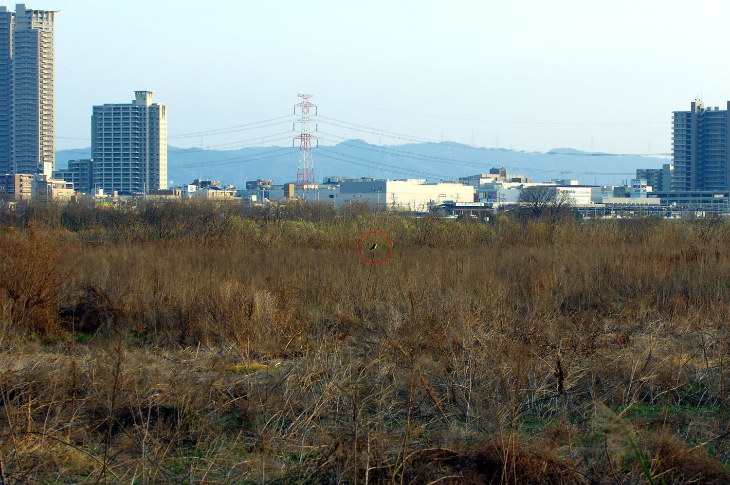 f0215767_11412235.jpg