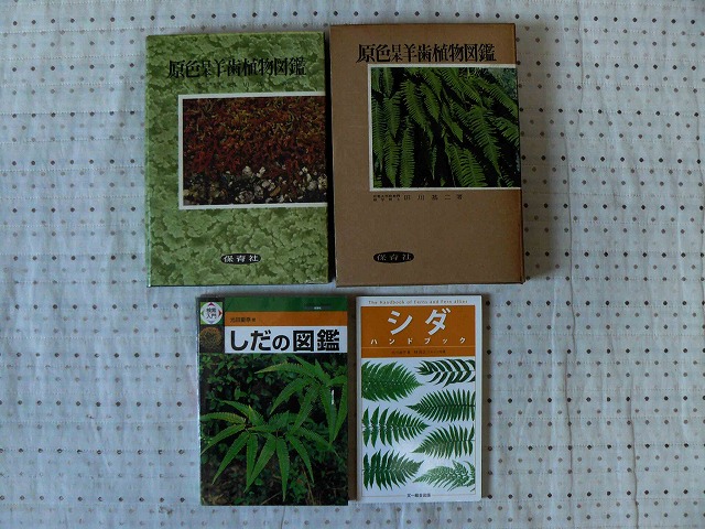 d0019074_8203294.jpg