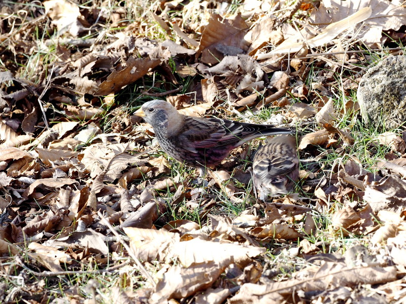 f0372177_23294988.jpg