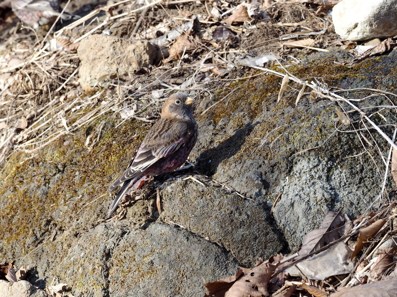 f0372177_23295387.jpg
